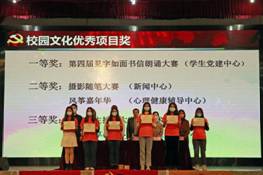 校园文化优秀项目